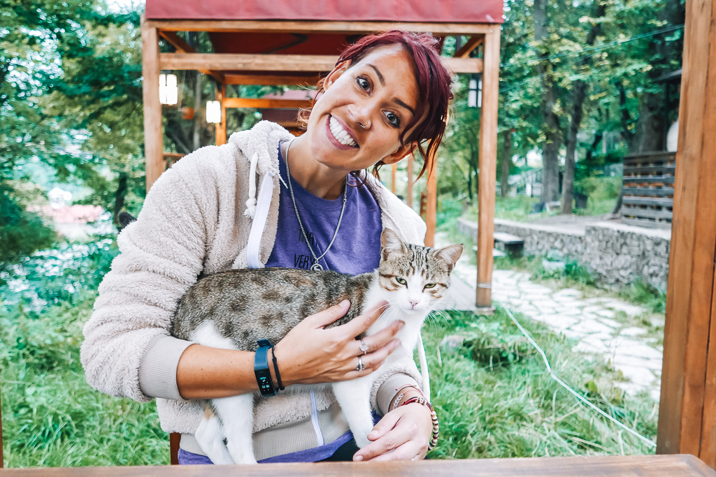 More about Nemi: Cuddling a stray cat while on a campervan holiday