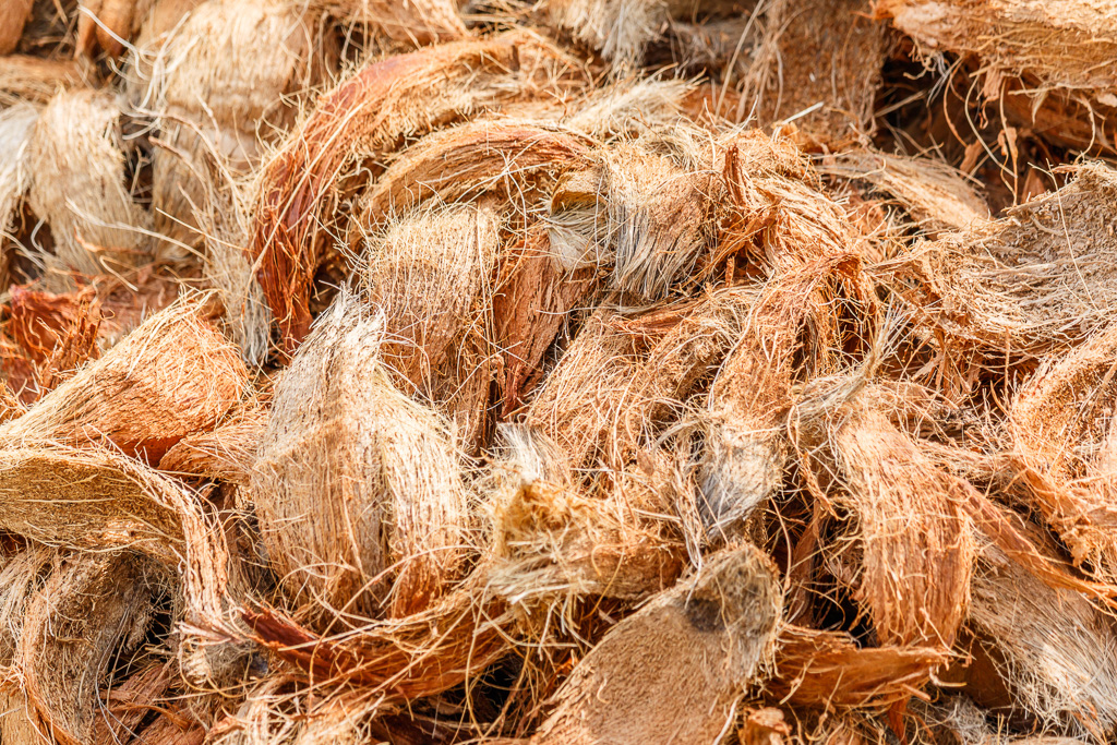 A pile of coconut husks before they've been treated