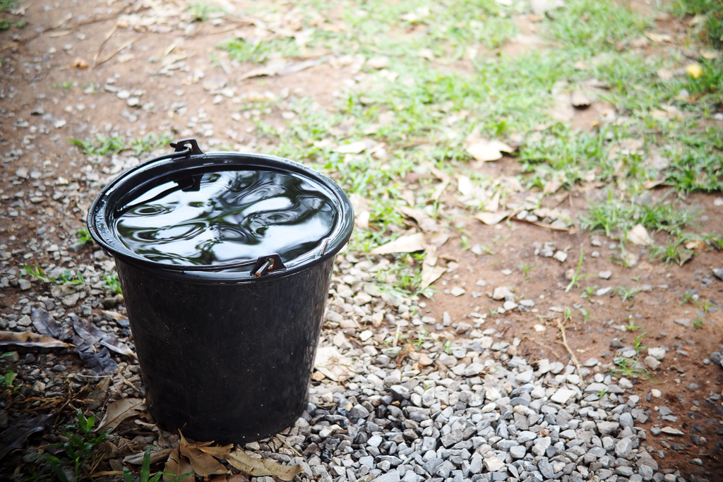 A bucket of water on a patch of grass